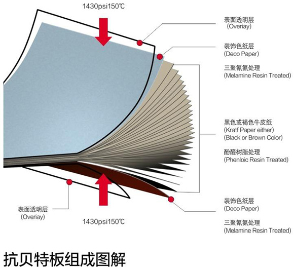 好色先生网站抗倍特板组成图解