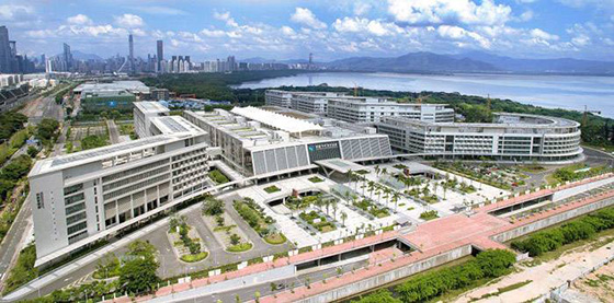 好色先生网站工程案例之香港大学深圳医院 好色先生网站工程案例之香港大学深圳医院