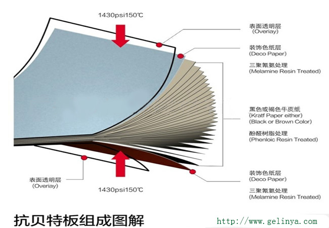抗倍特板结构 抗倍特板结构